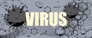 The History and Evolution of the Webcord Virus